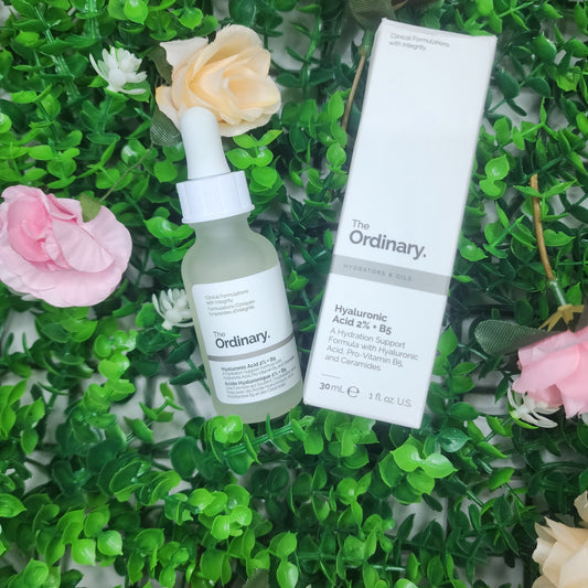 Hyaluronic Acid 2% + B5 Hydrating Serum